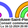 2024-12-16t20-00_gcmnbebruwoluwesaintpierre-adm_seance_conscmn_meet-logo.png